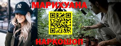 шишки Анапа