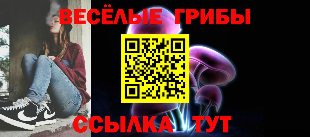 Галлюциногенные грибы GOLDEN TEACHER  Галлюциногенные грибы Magic Shrooms  Видное  Вход с VPN 